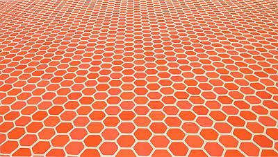 Sara Eichner, Hexagon Floor Pattern, 2006, oil on wood, 13.5x24 inches