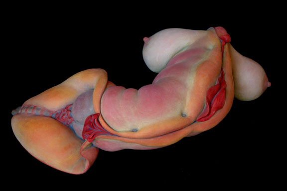 Judy Fox, Lust, 2007, terra cotta and casein, 8x26x15 inches