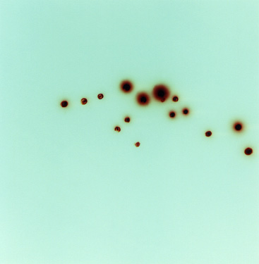 Nicole Stager, Query, 2005, c-print Edition 1 of 5, 12x12 inches